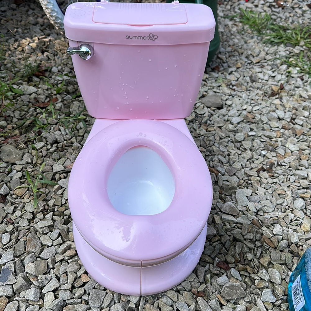 Pink potty training mini toilet